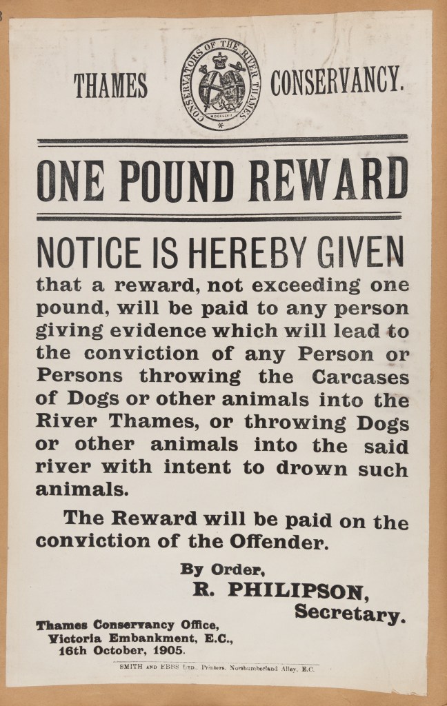 Printed notice offering a one-pound reward for any person who can provide evidence which will lead to the conviction of any person throwing animals into the river.